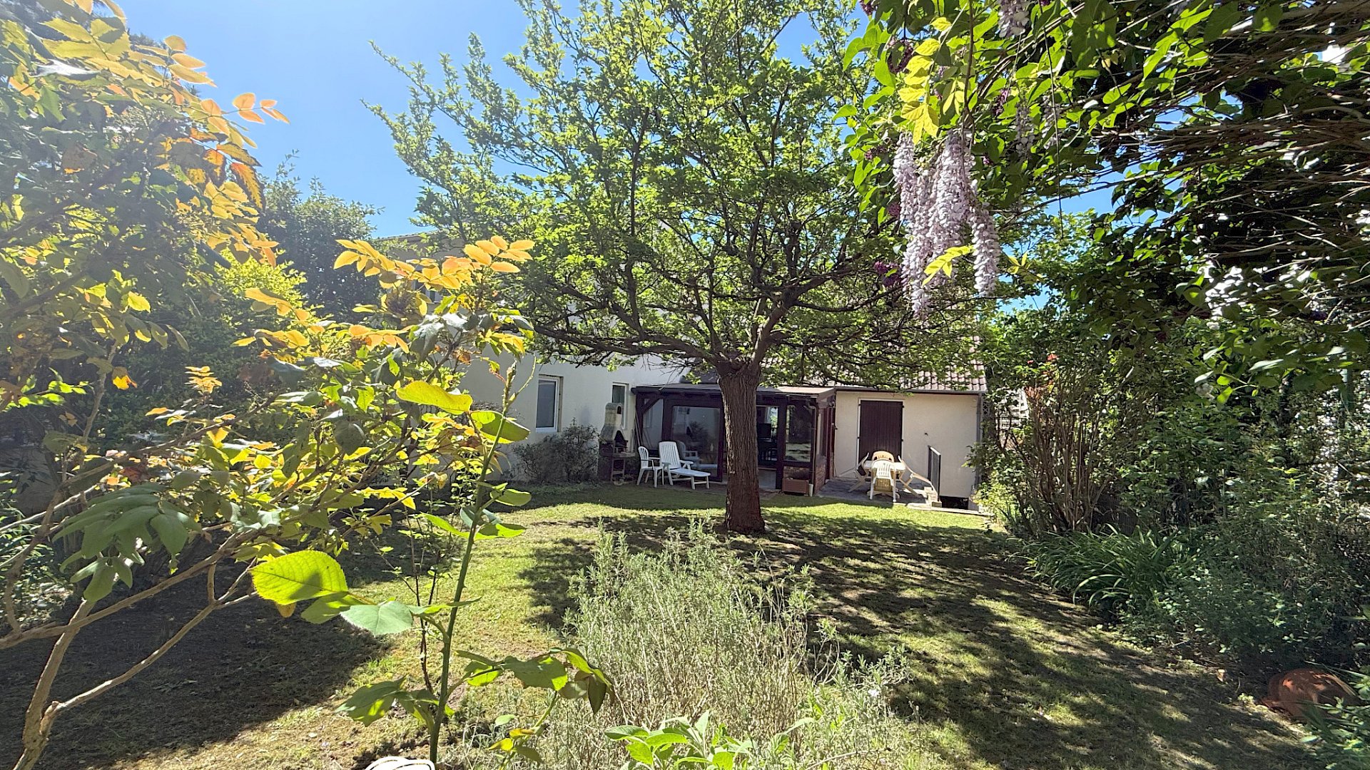 MAISON - Buzenval-Châtaigneraie - 1