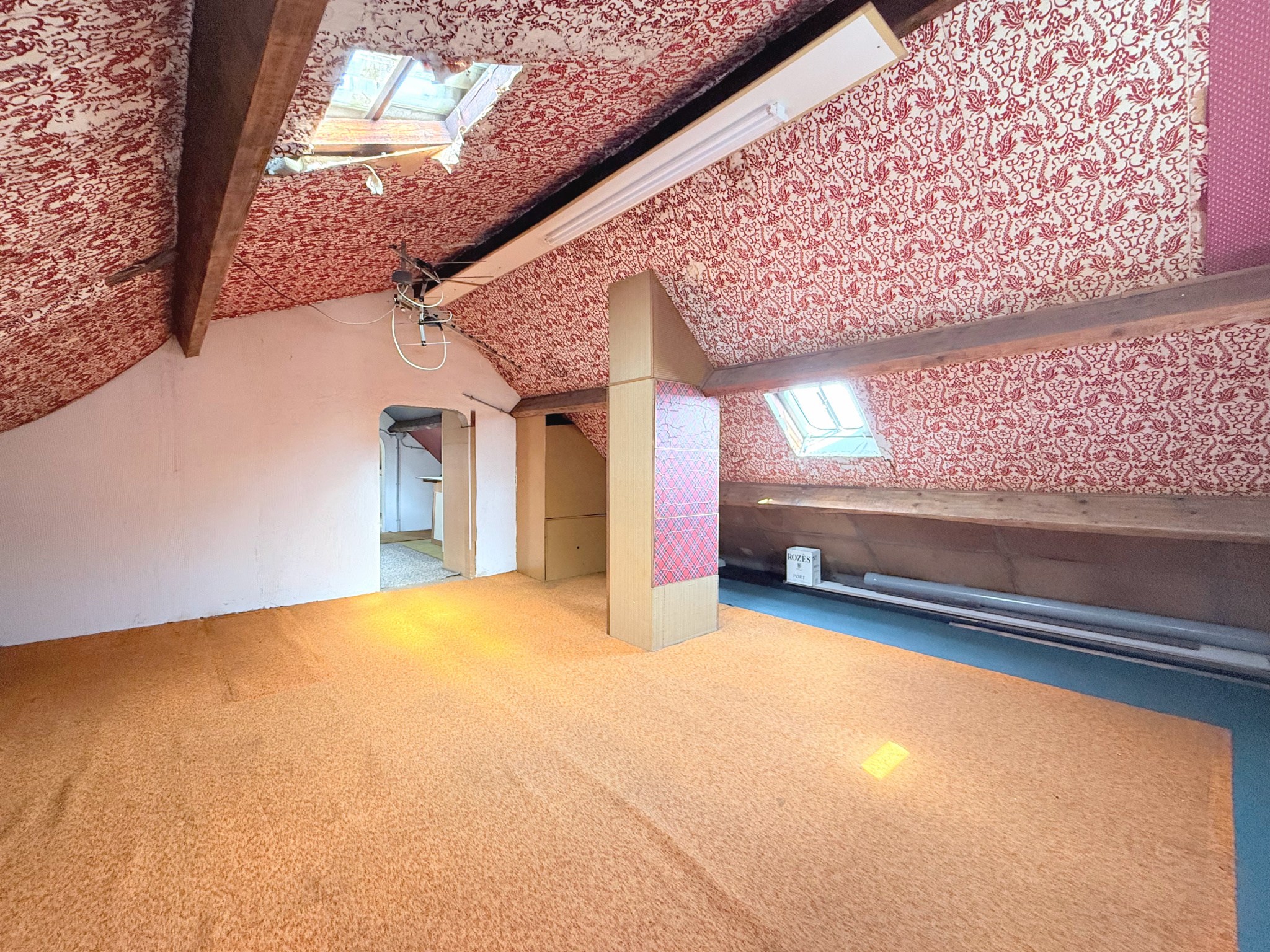 MAISON 8 PIÈCES - PLATEAU RUEIL - 19