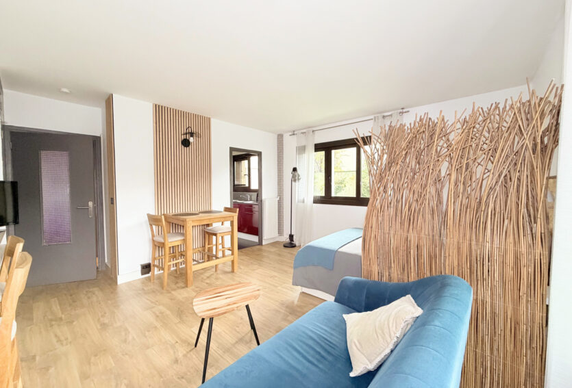 T1 LOCATION 28,82 m2, loué meublé avec parking et cave