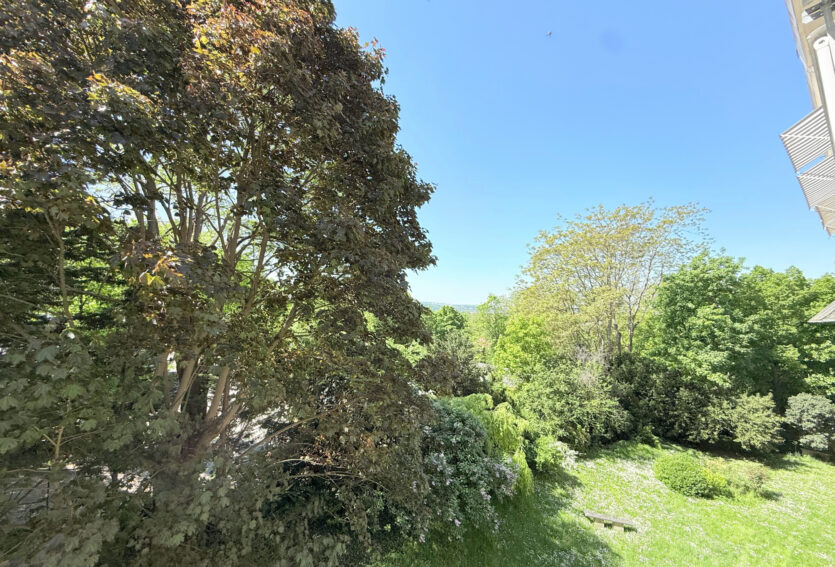 Grand 2 pièces traversant de 54 m2 et cave